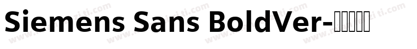 Siemens Sans BoldVer字体转换
